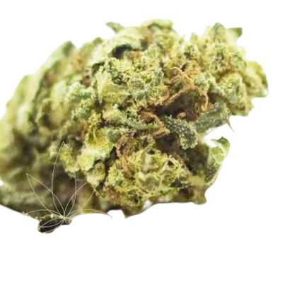 susz cdb  Cbweed Susz Konopny Cbd 11,4% White Widow 2G